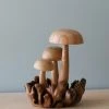 Odin Parker Handmade Wooden Mushrooms