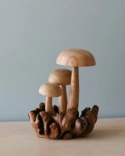 Odin Parker Handmade Wooden Mushrooms