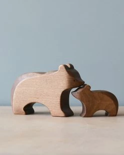 Brin D'Ours | Brown Bear