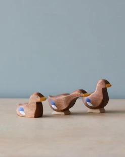 Brin D'Ours | Duck *New*