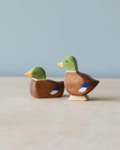 Brin D'Ours | Duck *New*