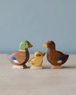 Brin D'Ours | Duck *New*