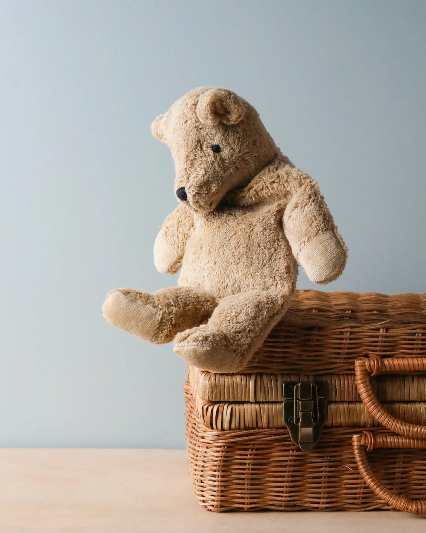 Senger Naturwelt Cuddly Animal - Beige Bear (with Removable Pouch) 3 Senger Naturwelt Cuddly Animal - Beige Bear (with Removable Pouch)