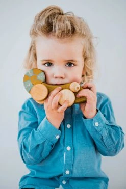 Friendly Toys Handmade Chameleon Push And Pull Toy *New*