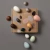 Moon Picnic *New* A Dozen Bird Eggs In A Box