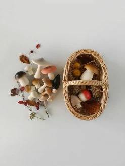 Forest Mushrooms Basket - Moon Picnic *New*
