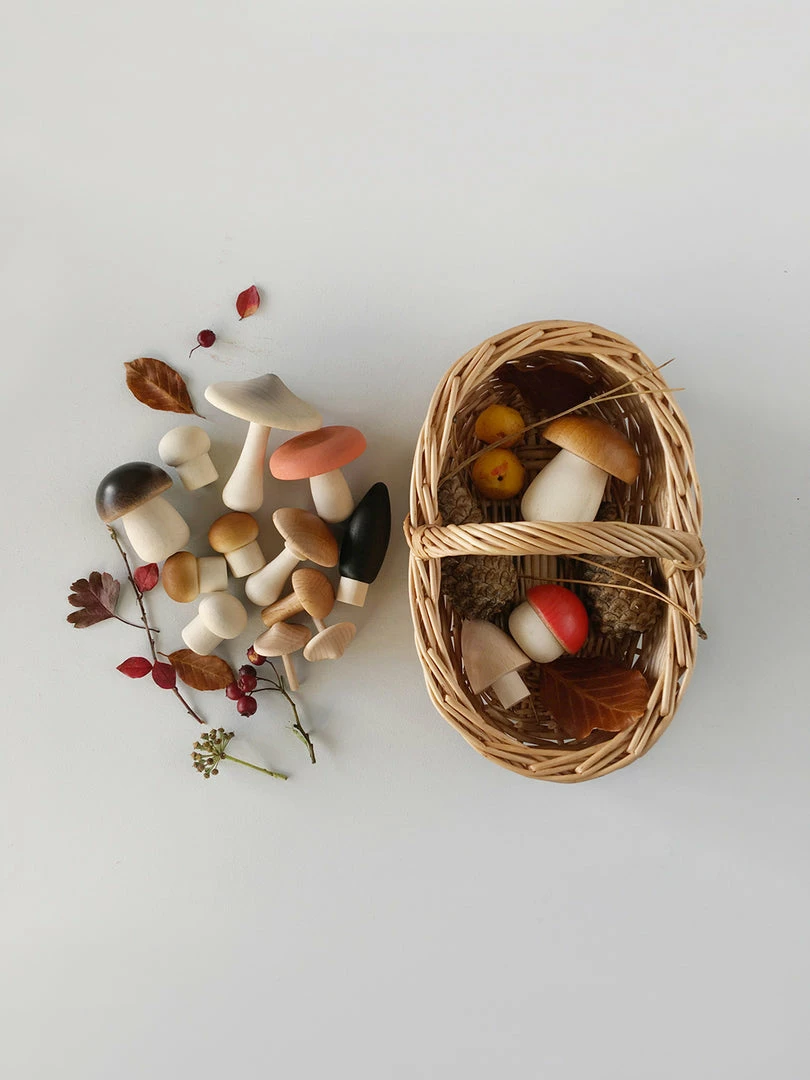 Forest Mushrooms Basket - Moon Picnic *New* 3 Forest Mushrooms Basket - Moon Picnic *New*