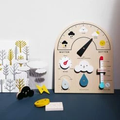 Moon Picnic Weather Station