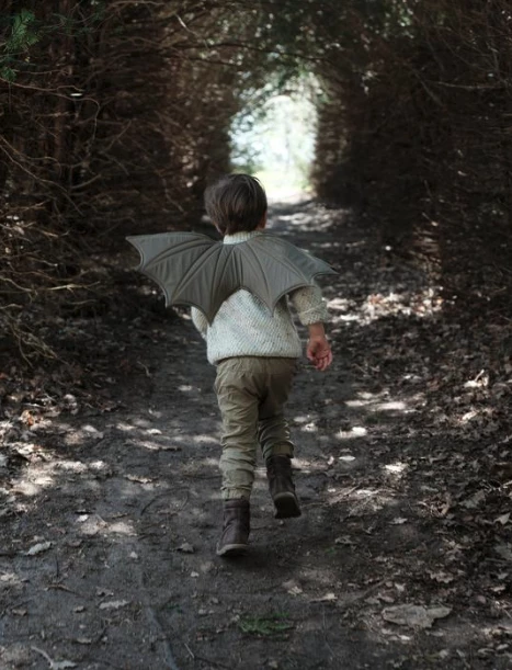 Fabelab Pretend Play Dragon Wings *New* 5 Fabelab Pretend Play Dragon Wings *New*