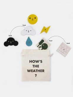 Moon Picnic Weather Station